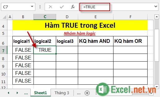 Hàm TRUE trong Excel 2