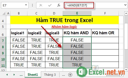 Hàm TRUE trong Excel 3