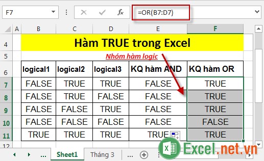 Hàm TRUE trong Excel 4