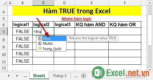 Hàm TRUE trong Excel